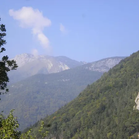 Les Mesanges
